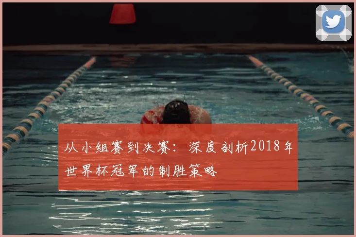 从小组赛到决赛：深度剖析2018年世界杯冠军的制胜策略