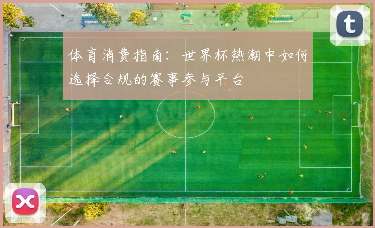 体育消费指南：世界杯热潮中如何选择合规的赛事参与平台